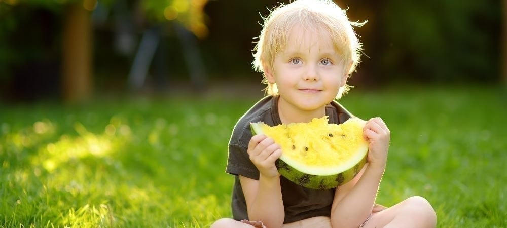 座ってスイカを食べる子供の画像